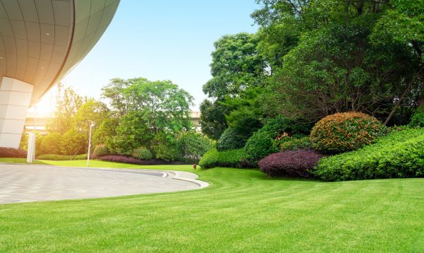 Cost of Commercial Lawn Mowing in Kennewick
