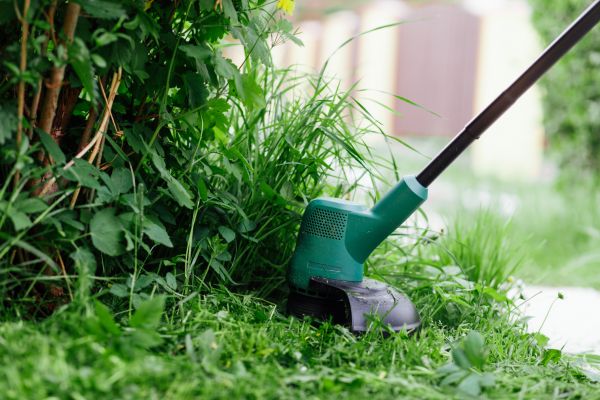 Cost of Weed Whacking in Kennewick