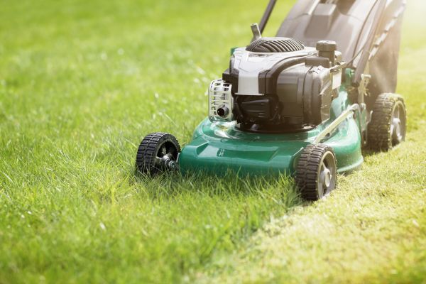 Cost of Yard Cutting in Kennewick