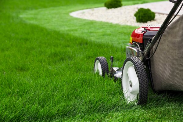 Cost of Yard Maintenance in Kennewick
