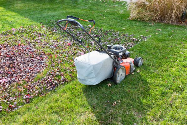 Cost of Seasonal Lawn Care in Kennewick