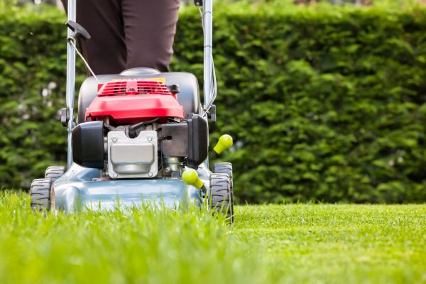 Cost of Grass Trimming Service in Kennewick