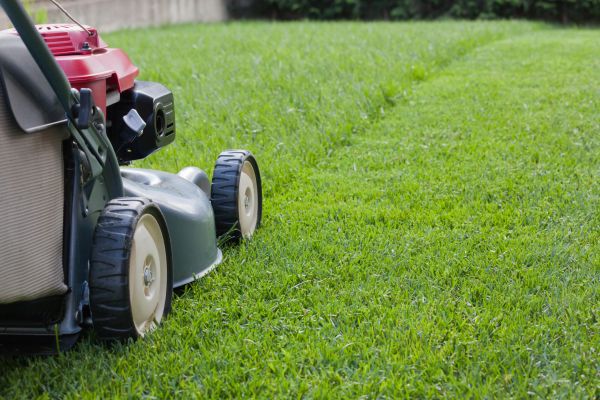 Cost of Spring Lawn Maintenance in Kennewick