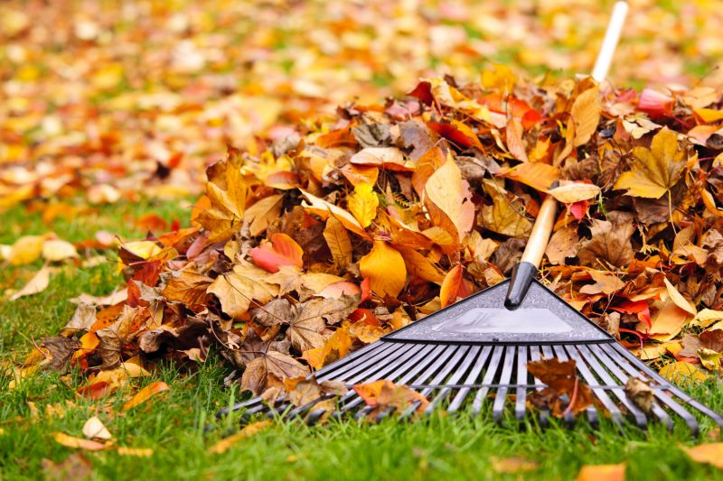 Clean Lawn with Raked Leaves