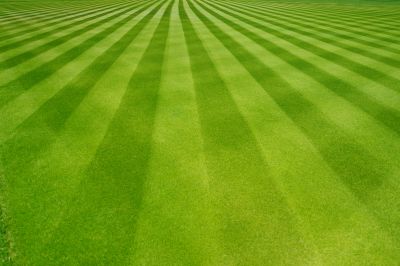 Mowing Patterns