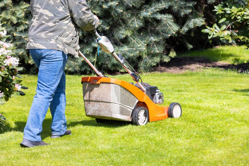 Seasonal Lawn Care Promotions
