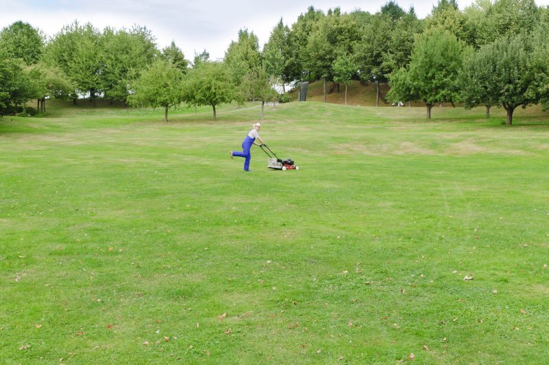 Professional Timing Advice